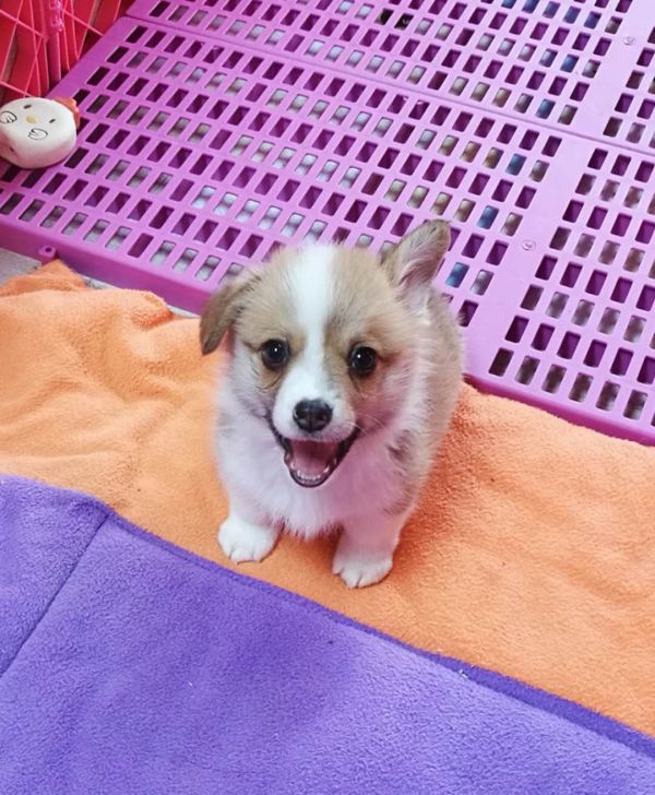 微信图片_20171214011044.jpg
