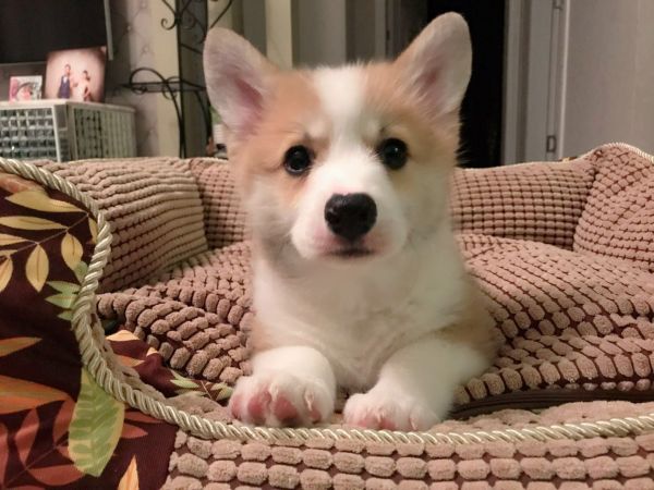 以后这就是本宝宝的窝了（还是很紧张哦）