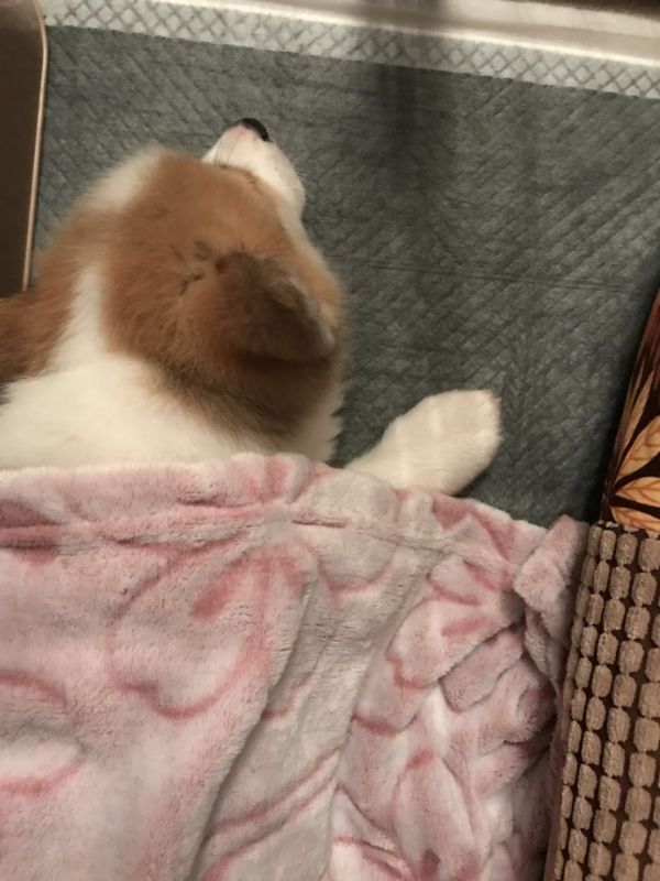 新家的第一个晚上~