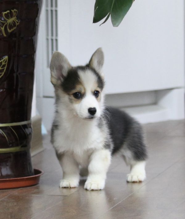 IMG_1322 副本_副本.jpg