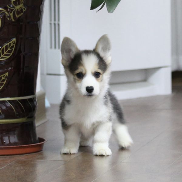 IMG_1323 副本_副本.jpg