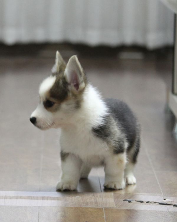 IMG_1335 副本_副本.jpg