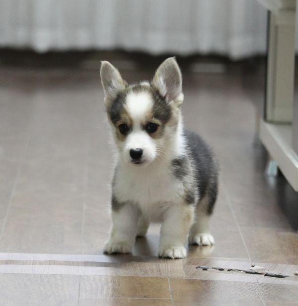 IMG_1336 副本_副本.jpg