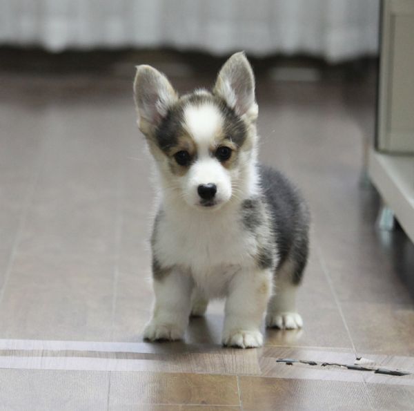 IMG_1337 副本_副本.jpg