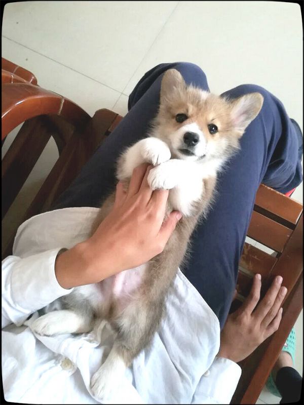 QQ图片20171215143141_meitu_2.jpg