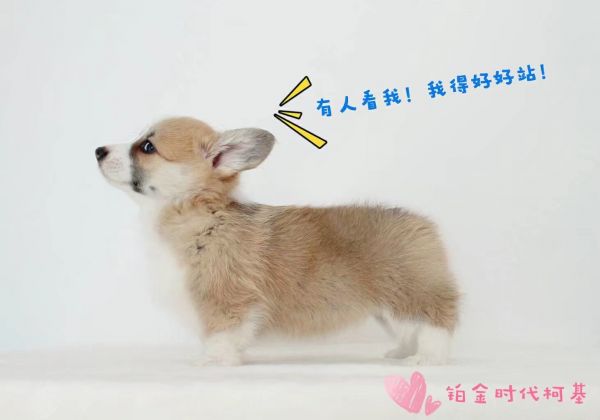 妙可4.jpg