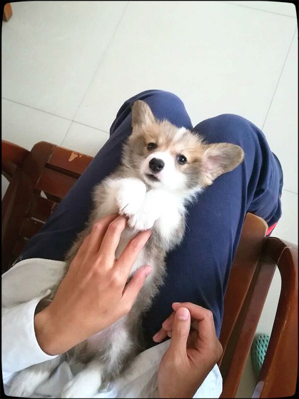 QQ图片20171215143135_meitu_1.jpg