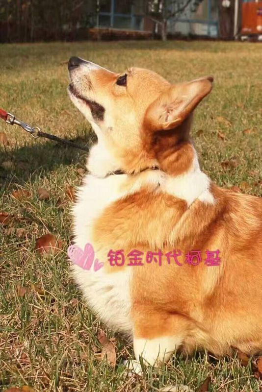 微信图片_20171017134800.jpg