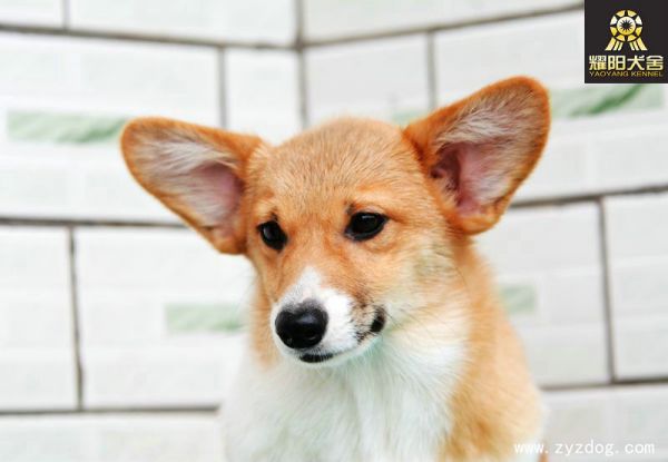 DSC_5047_副本.jpg