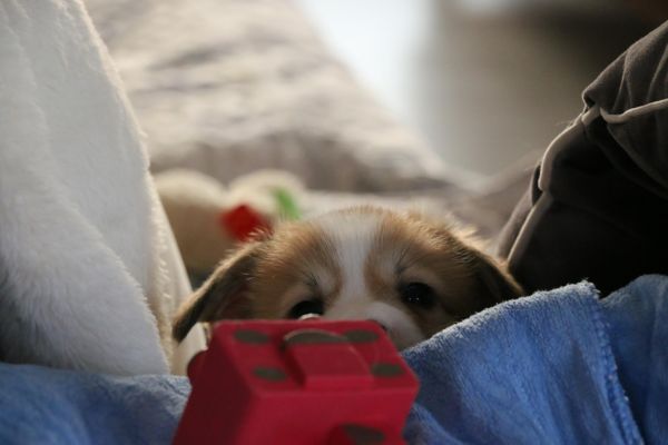 IMG_9106_爱奇艺.jpg