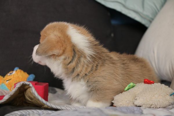 IMG_9068_爱奇艺.jpg