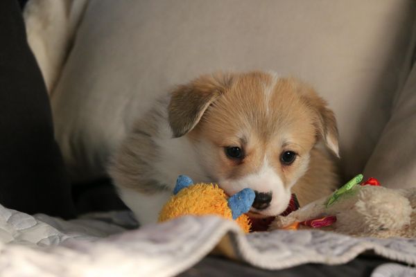 IMG_9086_爱奇艺.jpg