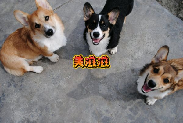 微信图片_20171217221614.jpg