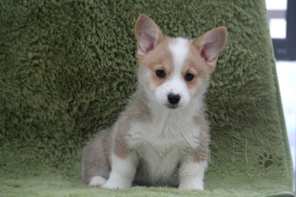 IMG_2621.JPG