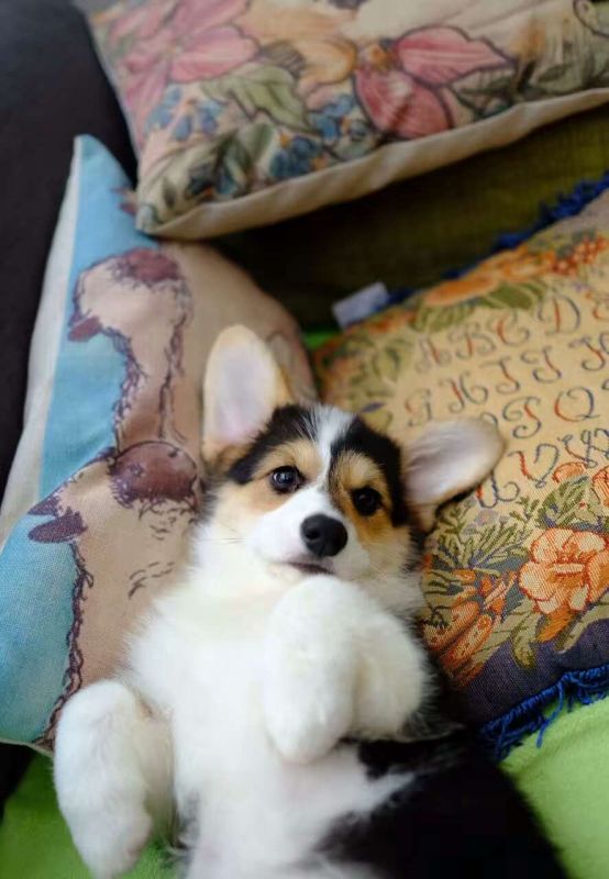 webwxgetmsgimg (4).jpg