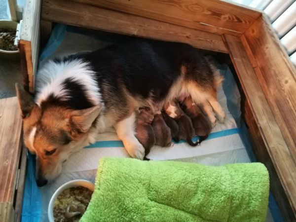 webwxgetmsgimg (4).jpg