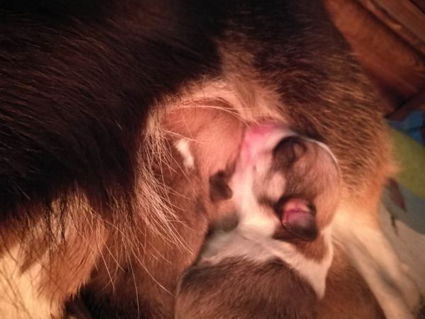 webwxgetmsgimg (9).jpg