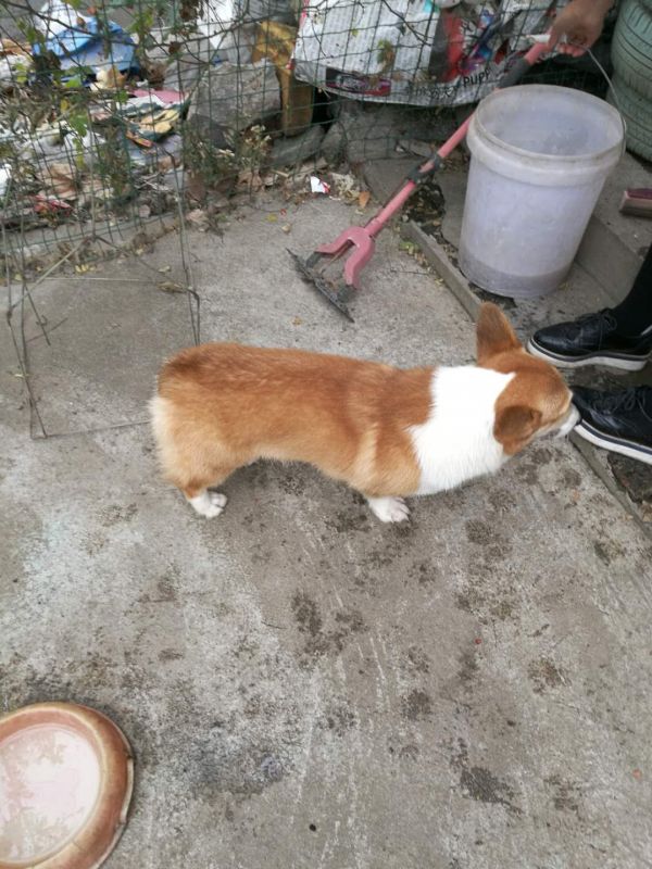 webwxgetmsgimg (2).jpg