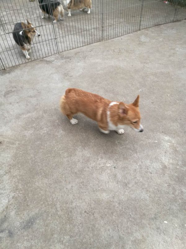 webwxgetmsgimg (3).jpg