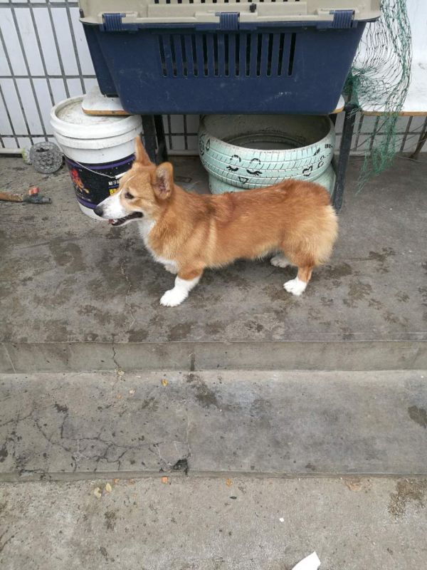 webwxgetmsgimg (4).jpg