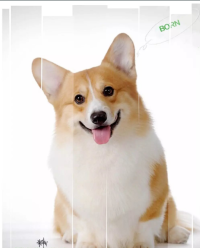 10.png