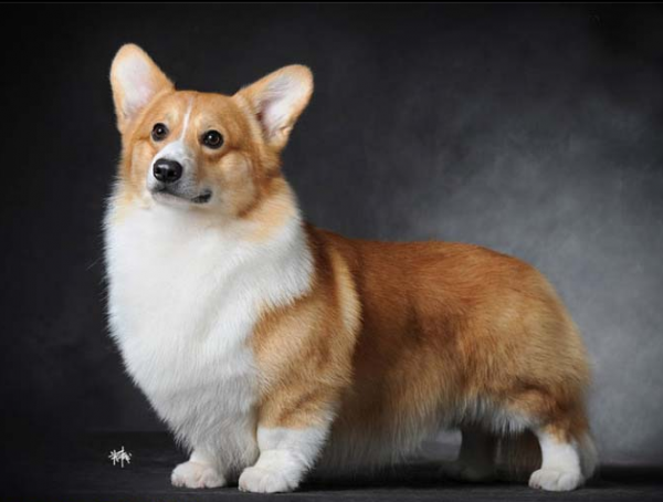 12.png