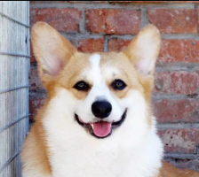 8.png