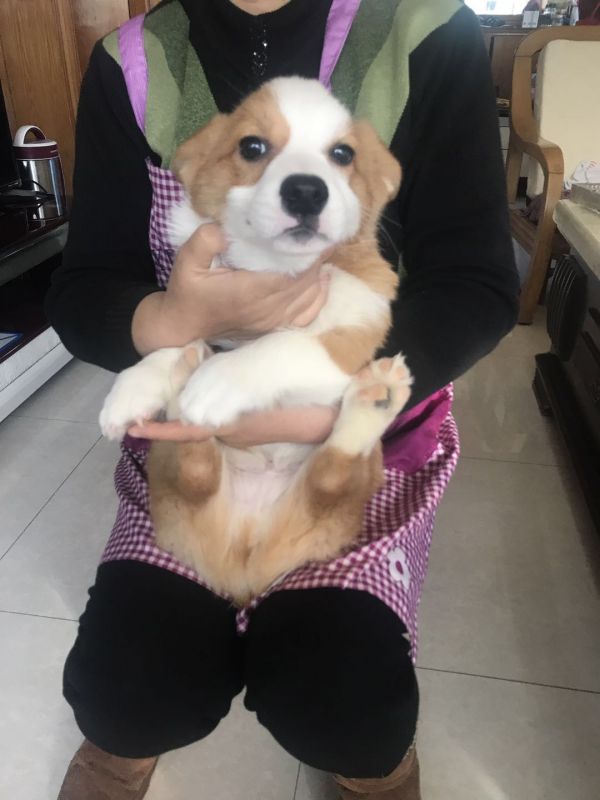 微信图片_20171210104440.jpg