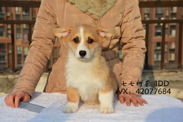 DSC_5086.JPG