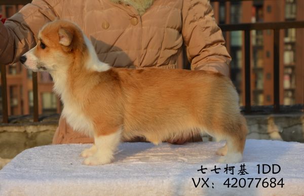DSC_5369.JPG