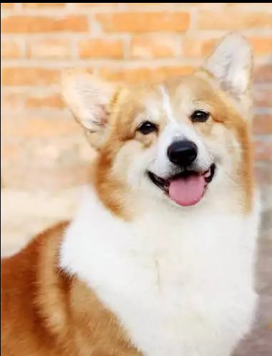 11.png