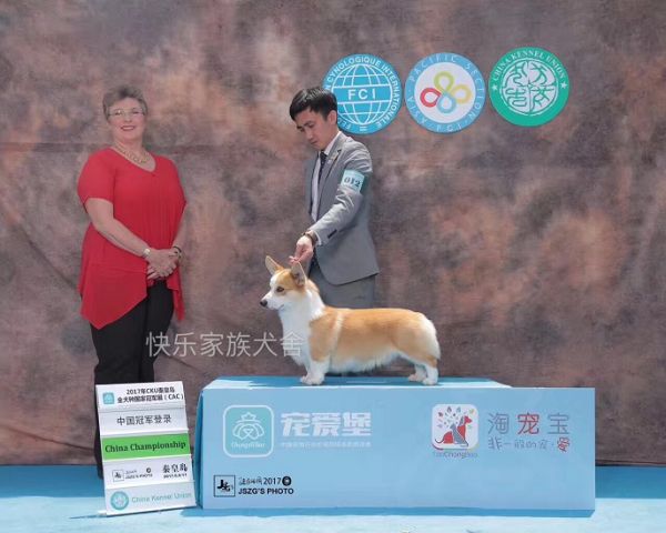 爸爸阿瑞斯赏励照