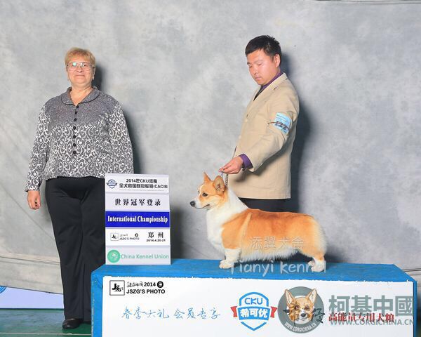 爷爷宙斯赏励照