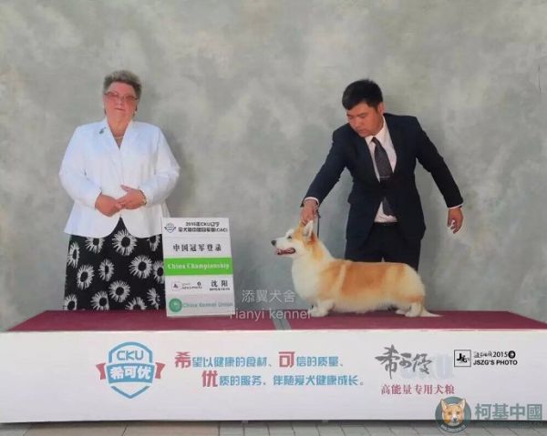 外公马修赏励照