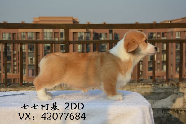 DSC_5474.JPG