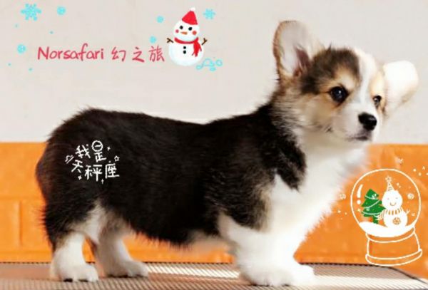 微信图片_20171221100932.jpg