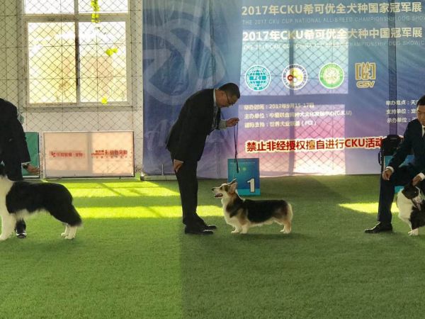 微信图片_20171221103122.jpg