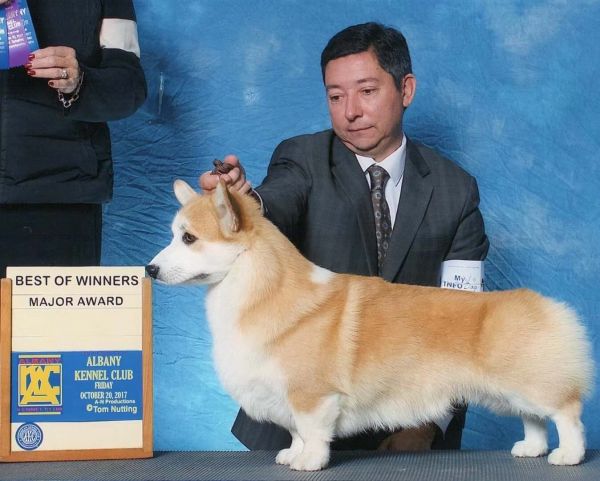 微信图片_20171221110734.jpg