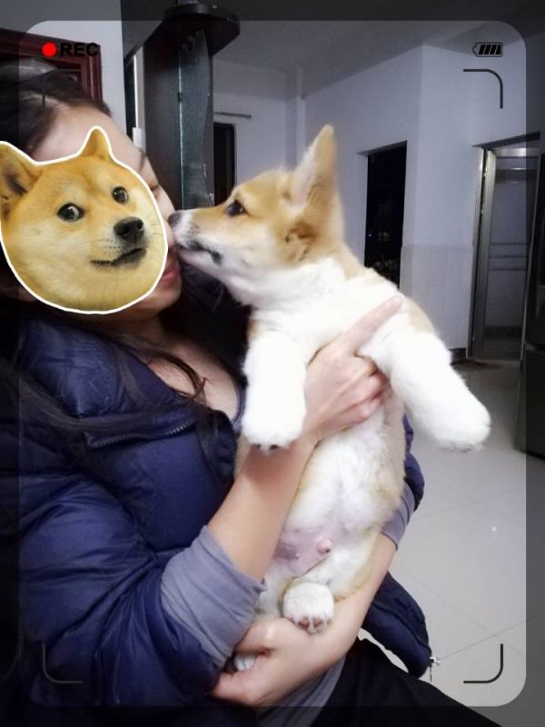 QQ图片20171222111443.jpg