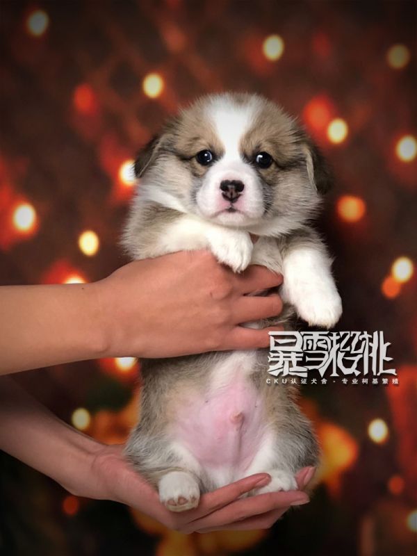 帅哥正.jpg