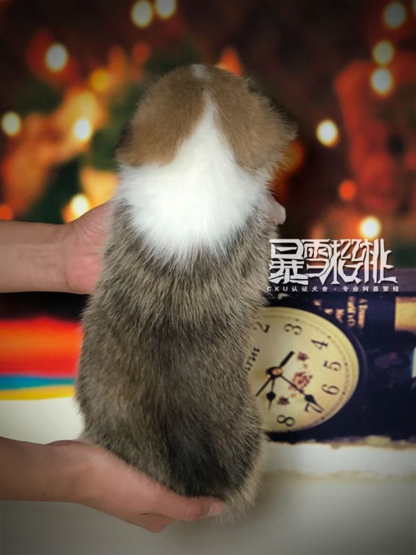 北风背.jpg