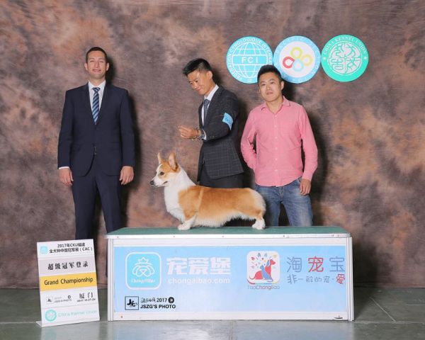 波比登陆照.jpg