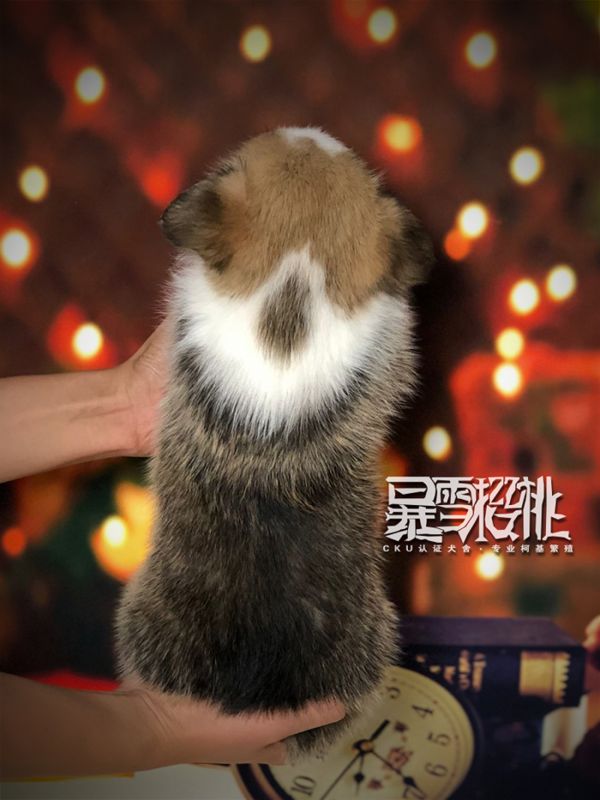 帅哥 背.jpg