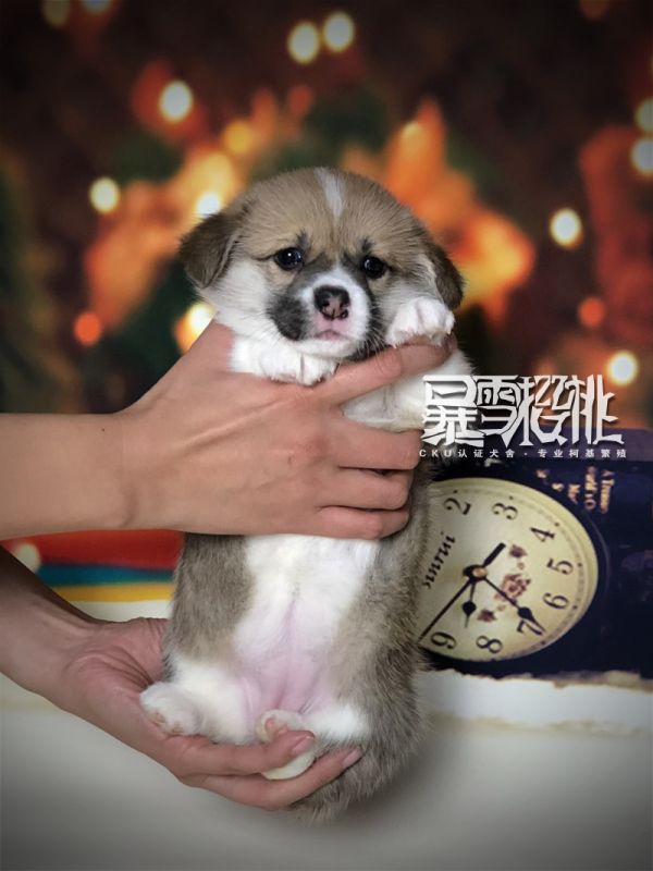 北风正.jpg