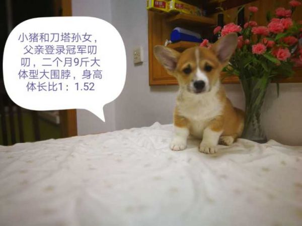QQ图片20171224080336.jpg