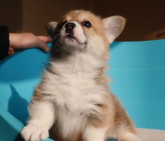 DSC_2585_副本.jpg