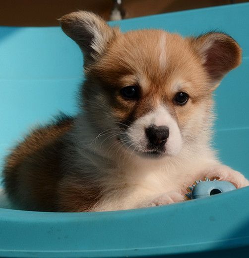 DSC_2591_副本.jpg