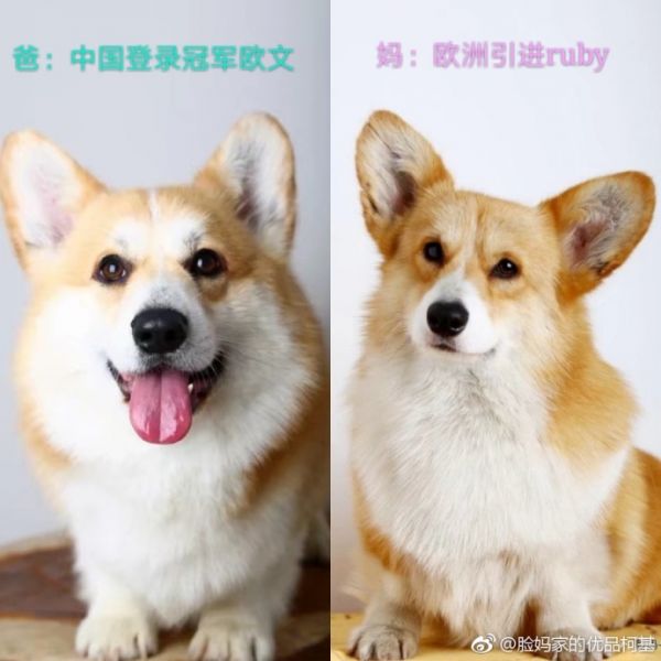 7062e8d5ly1fmtdbs99fwj20qo0qoznh.jpg