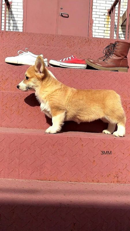 QQ图片20171227102221 (2).jpg