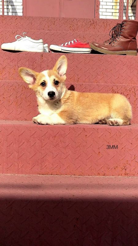 QQ图片20171227102226 (2).jpg